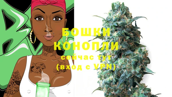 стафф Волоколамск