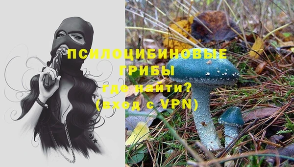 COCAINE Вяземский